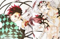 Demon Slayer: Kimetsu No Yaiba - Illustration Book -Style Japonais Boutique 17