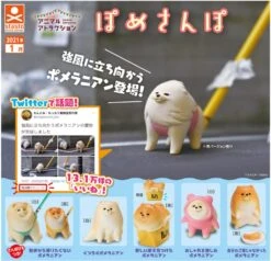 Animal Attraction Pomeranian Walk (Gachapon)