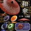 1/12 Japanese Umbrella (Gachapon)