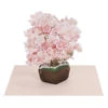 Carte Pop-up 3D - Sakura Tree -Style Japonais Boutique SakuraPopUpCardSakuraTreeYattaJapan1