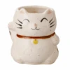 Mug Chat -Style Japonais Boutique cat mug